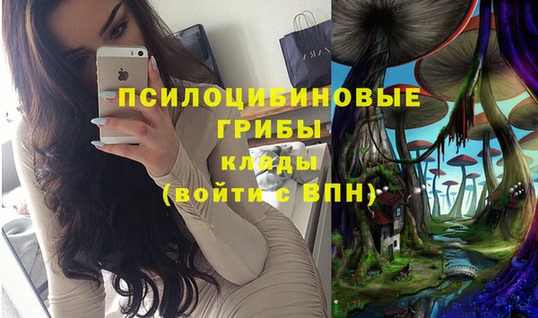 дурь Алексеевка