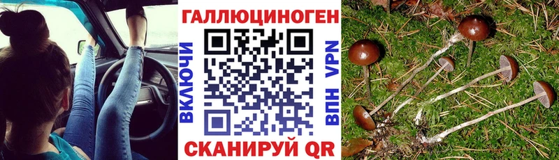 где можно купить наркотик  мега ССЫЛКА  Галлюциногенные грибы мухоморы  Анапа 