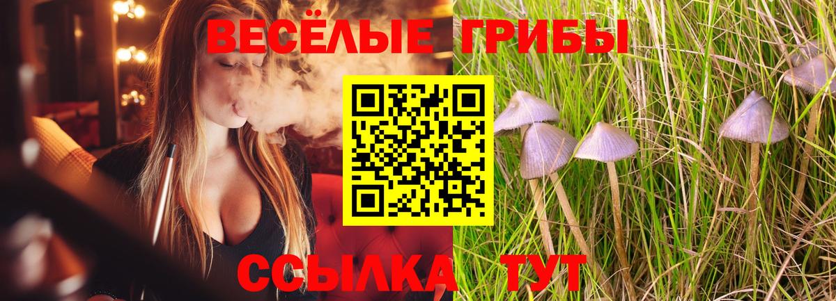 Псилоцибиновые грибы прущие грибы  Вход с VPN  Анапа  Галлюциногенные грибы ЛСД 